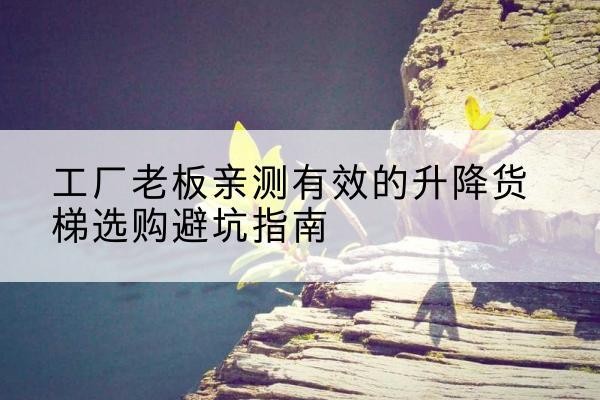 安国升降货梯怎么选-工厂老板亲测有效的升降货梯选购避坑指南