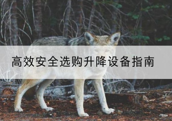 安国升降货梯厂家推荐-*安全选购升降设备指南