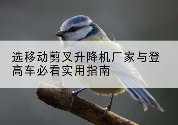 安国电动升降机厂家-选移动剪叉升降机厂家与登高车必看实用指南