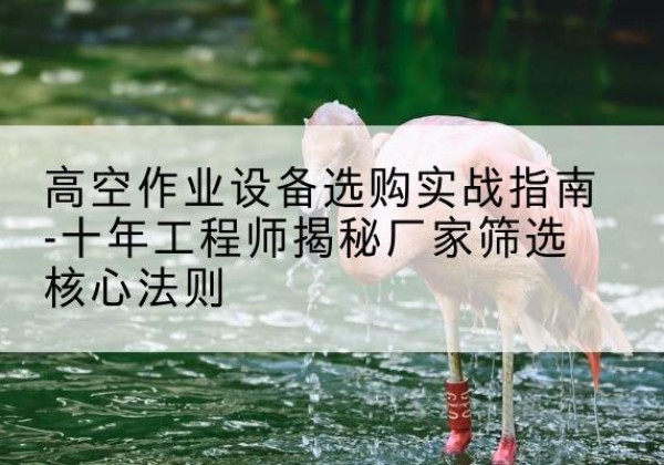 安国剪叉式升降机厂家-高空作业设备选购实战指南-十年工程师揭秘厂家筛选核心法则