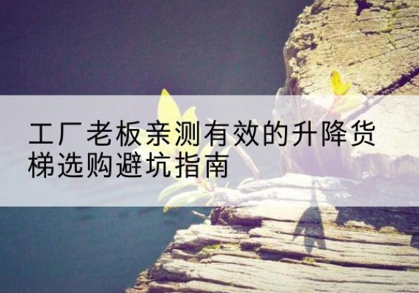 安国升降货梯怎么选-工厂老板亲测有效的升降货梯选购避坑指南